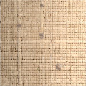 Basketweave reconstruction.
