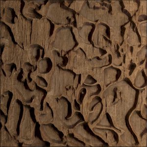 Dragon carved wood reconstruction.