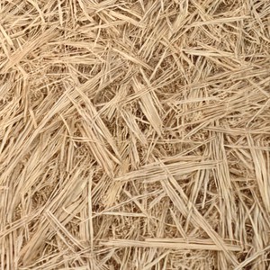 Hay on curved geometry.