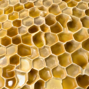 Honeycomb hives on curved geometry.