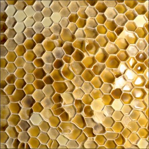 Honeycomb hives reconstruction.