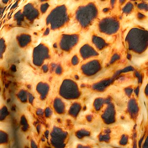 Pizza crust on curved geometry.